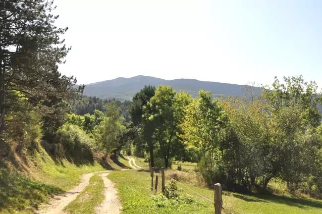 Chemin traversant le plateau du Donezan