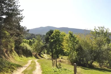 Chemin traversant le plateau du Donezan