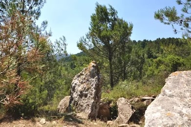 Dolmen de la Madeleine d'Albesse