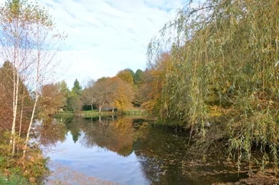 L'étang profond de Saint-Yrieix-la-Perche