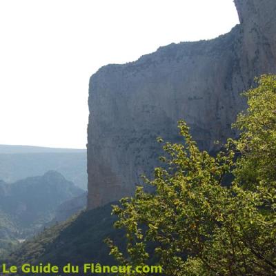 La falaise de la Bissonne