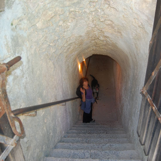 Le tunnel de Fort Lagarde