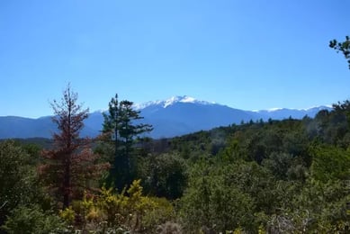 Le massif du Canigou