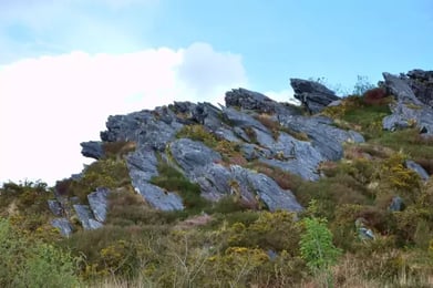 Le schiste bleu
