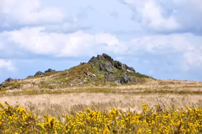Affleurement de schiste bleu dans un paysage de landes
