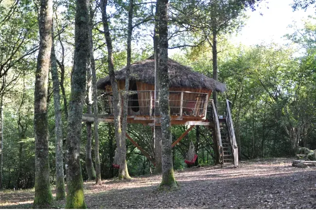 Cabane dans un arbre à Cazarilh