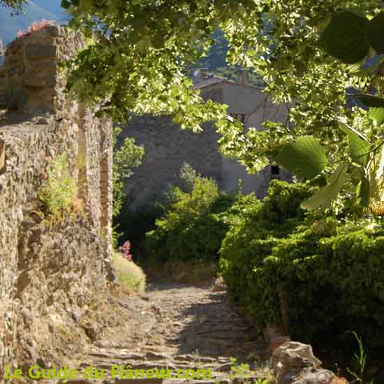 Visites et tourisme - Montbrun-Les-Bains - Drôme