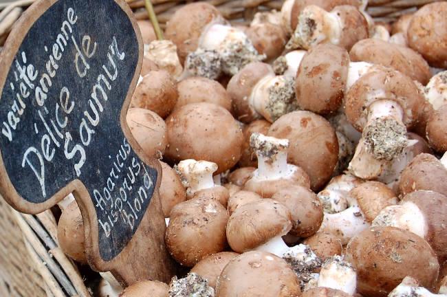 Champignons de la variété Délice de Saumur