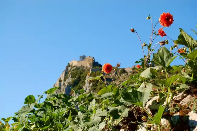 Château de Roquefixade