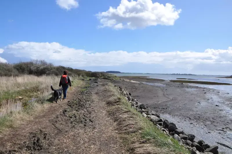 Chemin en allant vers la pointe du Bill à Séné