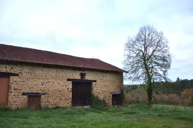 Corps ferme en brêche d'impact sur la randonnèe de Rochechouart