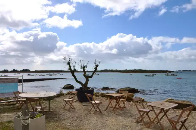 Dégustation d'huitres en terrasse face au golge du Morbihan