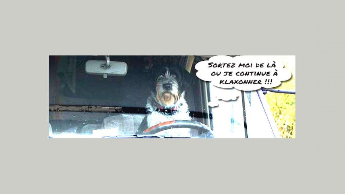 Gaffes et bêtises dans le Gers - Les coulisses du guide