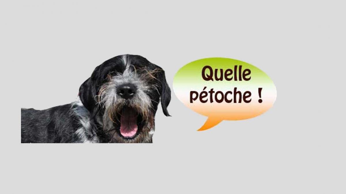 Horreur à Arreau - Les coulisses du guide alternatif