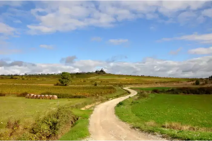 Large chemin entre vignes et prairies à Lavalette