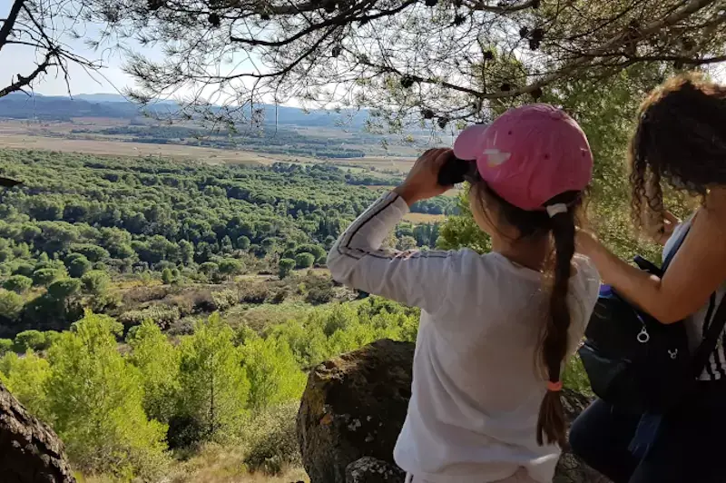 Les enfants observent les paysages