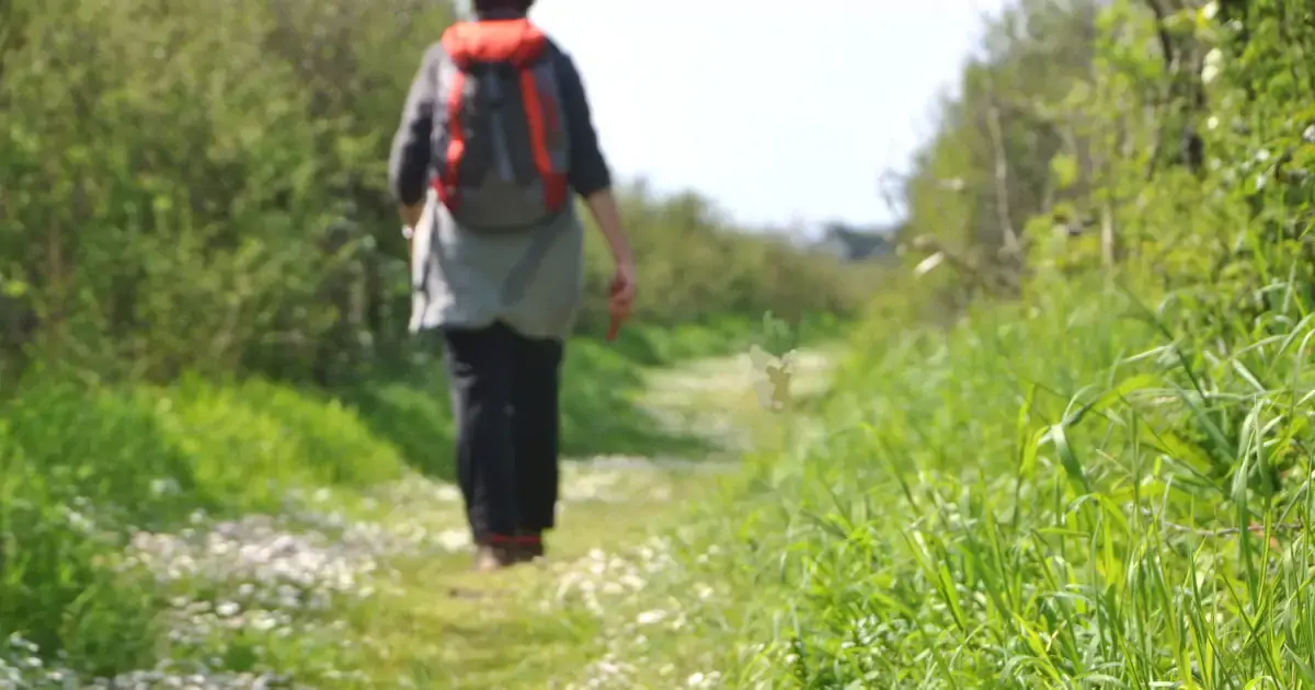 Marcheuse sur un chemin 1200 631