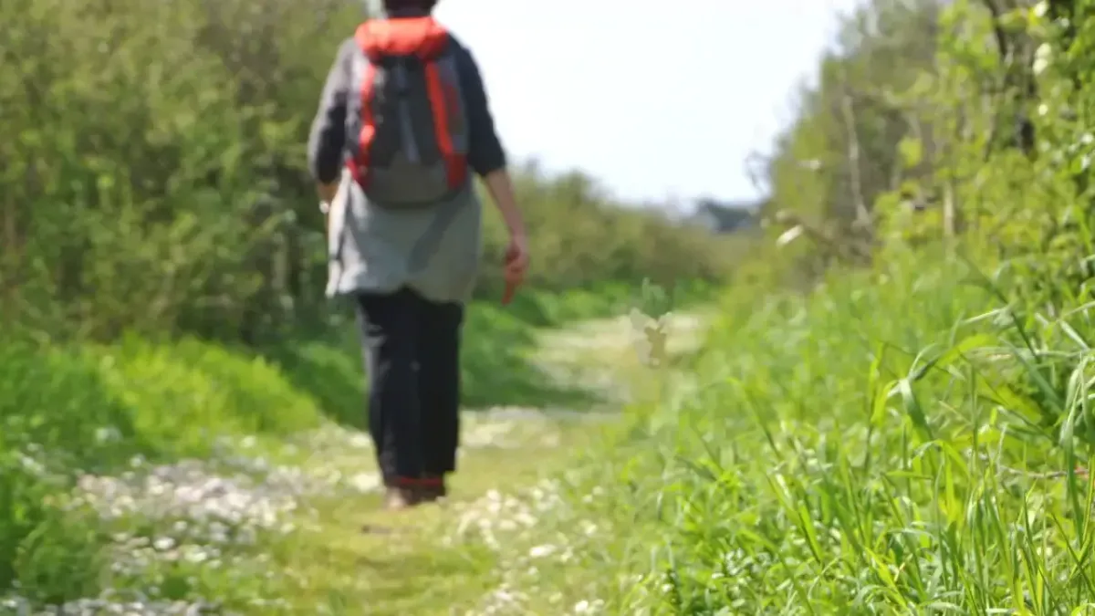Pourquoi choisir la marche pour nous déplacer ?