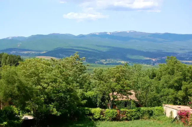 Montagne de Lure dans les Alpes-de-Haute-Provence