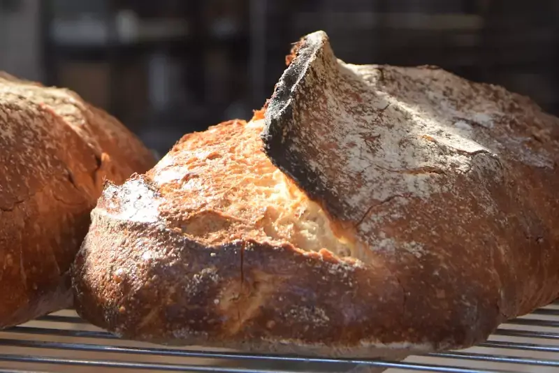 Pain sortant du four