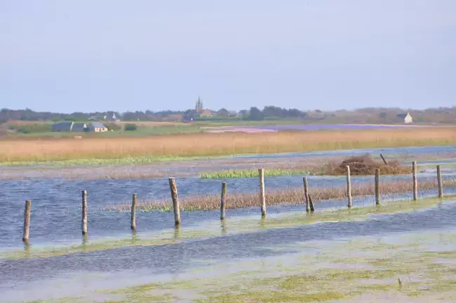 Paysage de la baie d'Audierne sur la randonnée à Saint-Jean-Trolimon