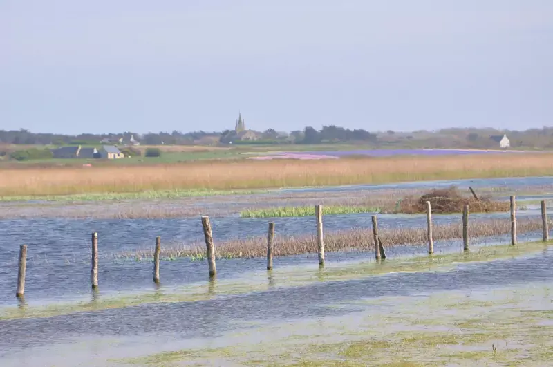Paysage de la baie d'Audierne à Saint-Jean-Trolimon