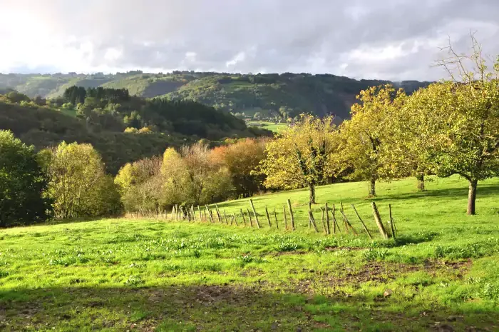 Paysage de vergers et prairies d'Aubazine