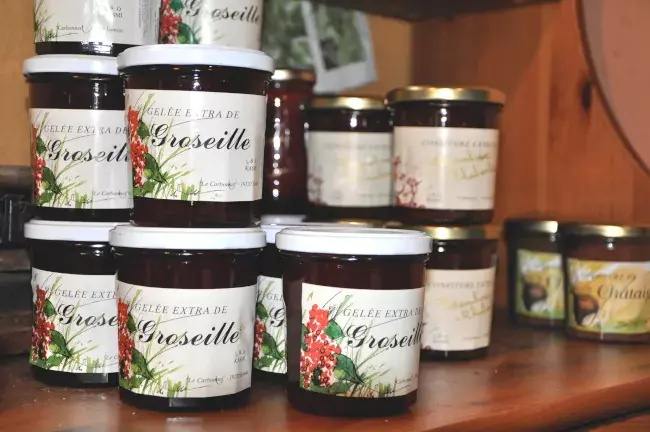 Pots de confiture de groseille