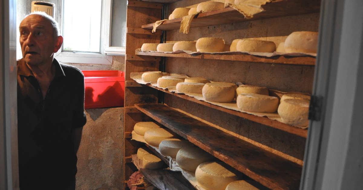 Producteur de fromage de Barousse à Sost en Hautes-Pyrénées