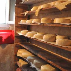 Producteur de fromage de Barousse