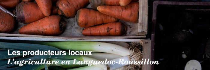 Les producteurs locaux en Languedoc-Roussillon