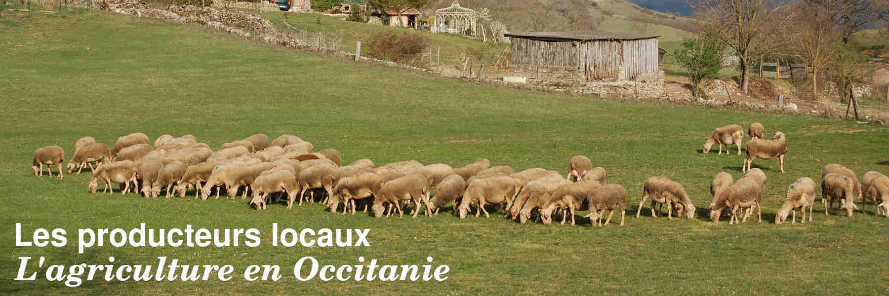 Les producteurs locaux en Occitanie