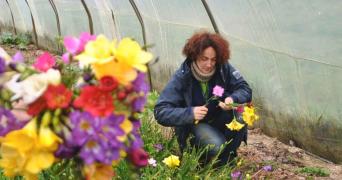 Productrice de fleurs à Séné dans le Morbihan
