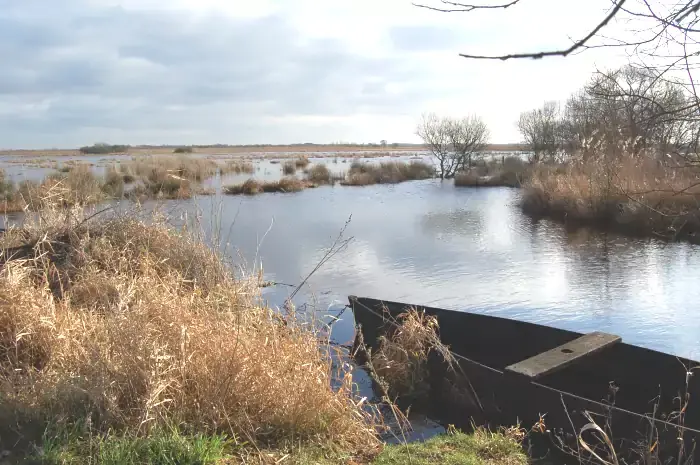 Randonnée dans le marais de Brière en Pays de la Loire