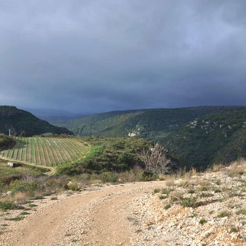 Randonnées pédestres en Languedoc-Roussillon