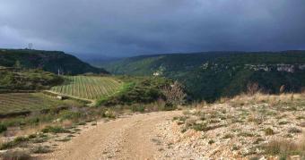 Randonnées pédestres en Languedoc-Roussillon