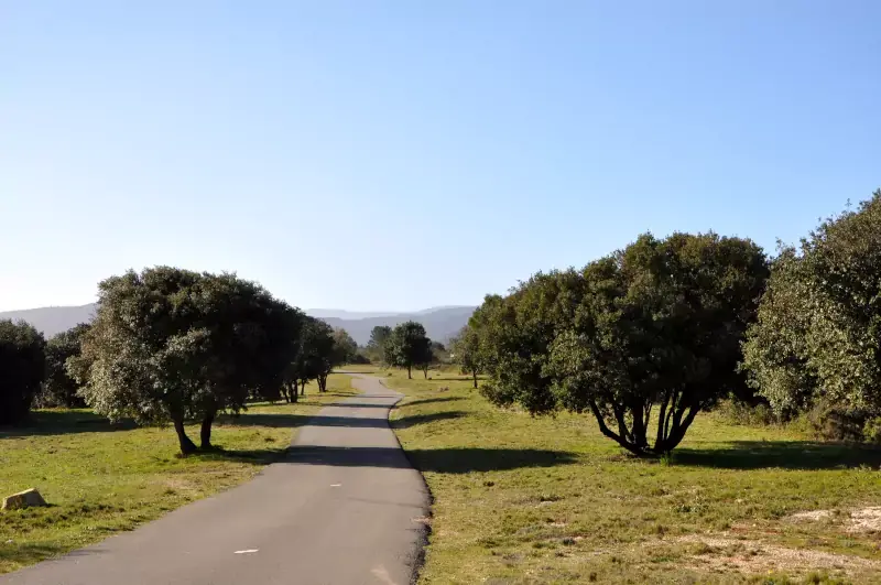 Route de Lauriole à Siran