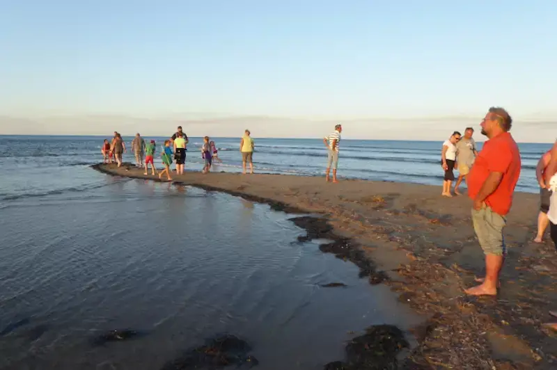Sensibilisation à la nature et aux milieux