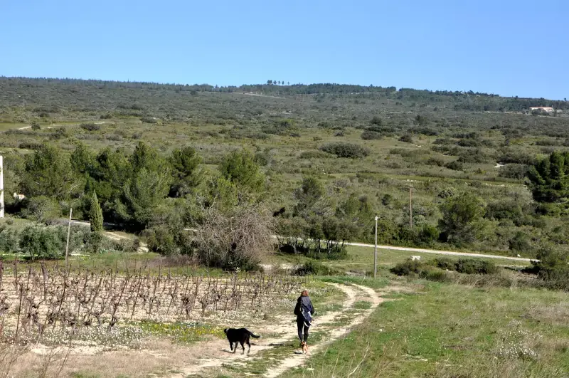 Sur le parcours de la randonnée de Siran