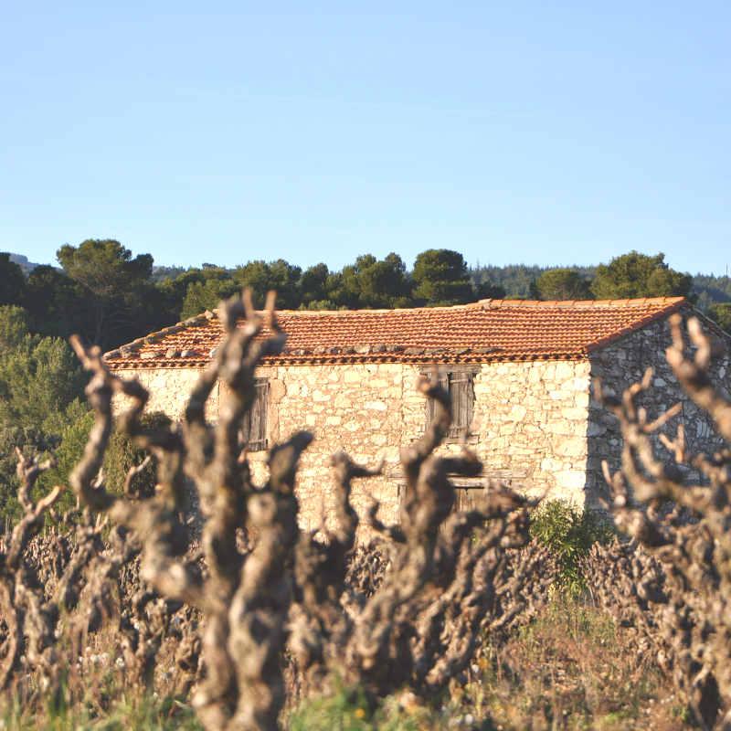 Tourisme alternatif en Languedoc-Roussillon