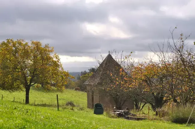 Verger de pommiers à Allassac