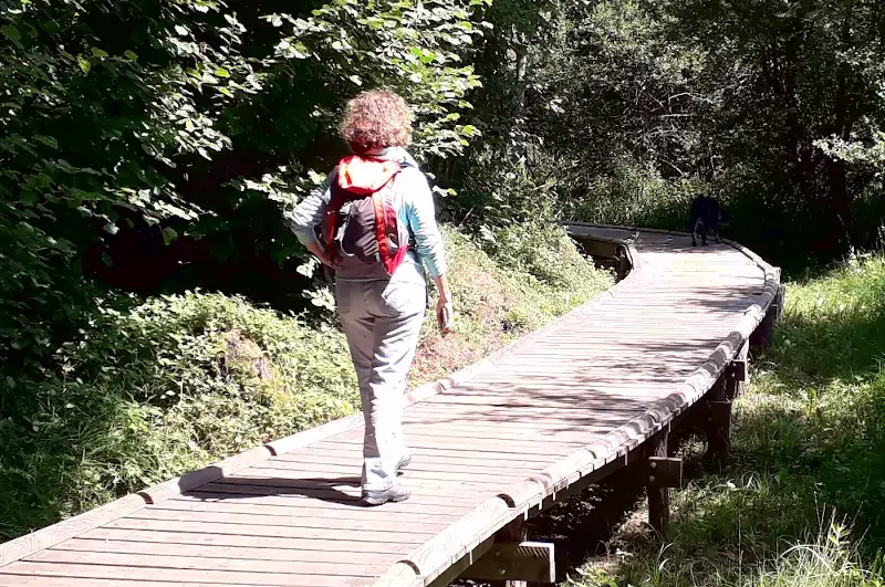 Zone humide du lac de Laprade